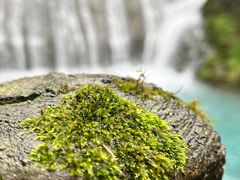 -尧治河旅游度假区