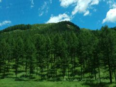 -塞罕坝国家级自然保护区