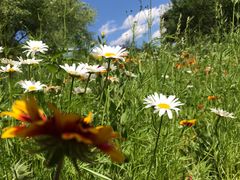 -永定河休闲森林公园