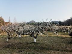 -白马涧龙池景区