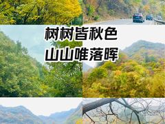 -沣峪森林公园龙潭戏水景区