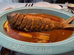 -阿五黄河大鲤鱼(英协路店)