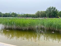-太阳宫公园