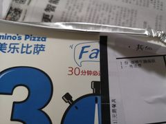 -达美乐比萨(武定店)
