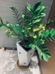 -苑苑vbeauty科技美容SPA