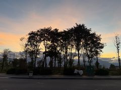 -菌竹轩酒楼(海河天街店)