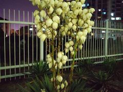 -吴山路夜市