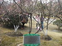 -白塘生态植物园