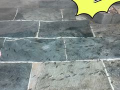 -兴芮温泉度假区