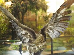 -陕西自然博物馆