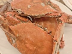 -禾斗海鲜自助(市南银座店)