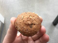 -珍妮曲奇聪明小熊(尖沙咀店)