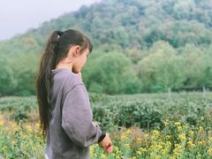 -中国茶叶博物馆(双峰馆区)