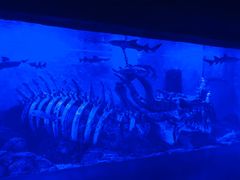 -波塞冬旅游度假区