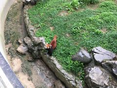 -南昌动物园