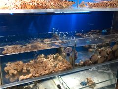 水产区-德米火锅(深圳湾1号旗舰店)