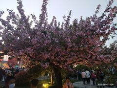 -大雁塔北广场音乐喷泉