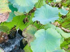 -韶山毛泽东同志故居