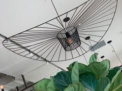 -The Rug Cafe(王府中环店)