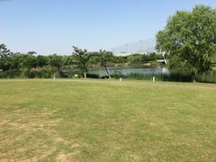 -九里河湿地公园