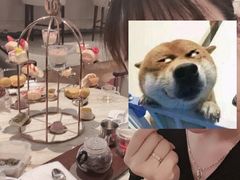 -上海新发展亚太JW万豪酒店