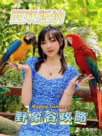 西双版纳Ⅱ野象谷最全攻略