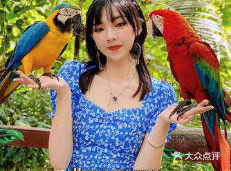 西双版纳Ⅱ野象谷最全攻略