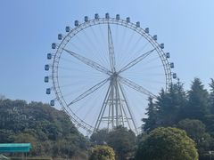 -宜兴龙背山森林公园
