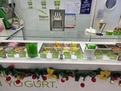 -Salud撒露欧洲冻酸奶(蓝色港湾店)