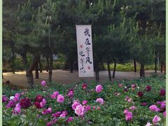 -洛阳市隋唐城遗址植物园