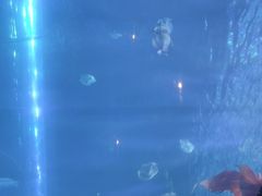 -华夏文旅西安度假区