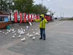 -天津妈祖文化园