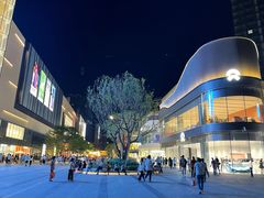 -东莞松山湖万象汇