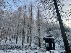 -山王坪喀斯特国家生态公园