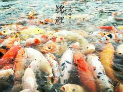 -文瀛公园