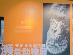 -中国湿地博物馆