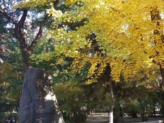 -辽宁大学(崇山校区)
