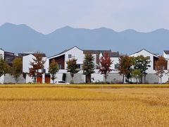 -东梓关景区村庄