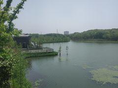 -昆山城市生态森林公园