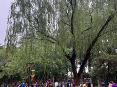 -康庄公园