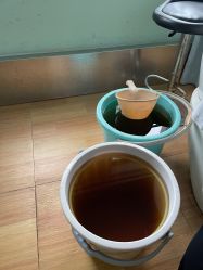 -敦南真爱月子会所(黄埔店)