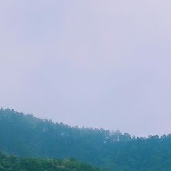 -凡碧诗毛孔收细