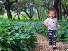 -黄埔荔枝公园