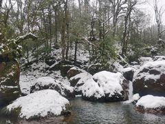 -龙苍沟森林公园