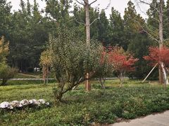 -山东艺术学院(长清校区)