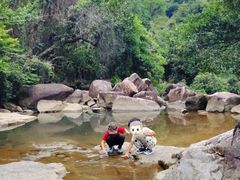 -广州白江湖森林公园