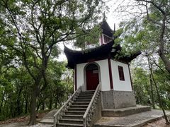 -上海佘山国家森林公园天马山园