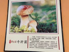 -菌乡缘·野生菌蒸汽鱼火锅(江边夜市店)