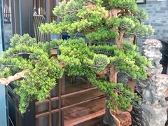 -湊湊火锅·茶憩(东城万达店)