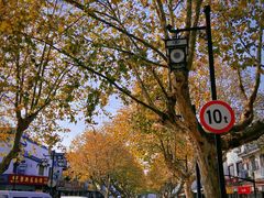 -大叔家福鼎小吃(十全街店)